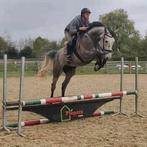 4 jarige spring merrie., Merrie
