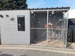 Buiten volière met kanaries, Ophalen, Gebruikt, Volière