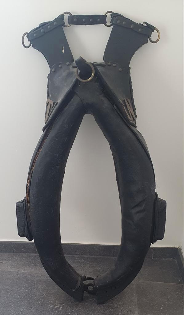 Paardenhaam, Antiek en Kunst, Antiek | Spiegels, Ophalen