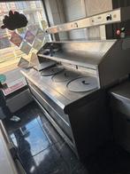 Professionele frietketel, Ophalen of Verzenden, Nieuw zonder verpakking, Fornuis, Frituur en Grillen