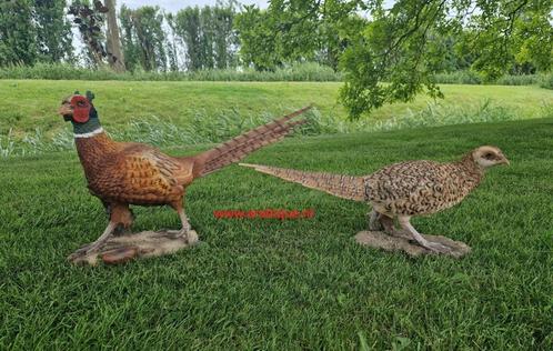 Fazant  Vos  Hert   Wildzwijn   Haas   Eekhoorn Eland .Enz.., Tuin en Terras, Tuinbeelden, Nieuw, Dierenbeeld, Kunststof, Ophalen