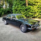 Daimler Souvereign | BJ 1980 | 4.2 Motor | 111.000 KM'S, Auto's, Jaguar, Automaat, Beige, 4200 cc, Zwart