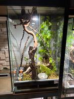 Terrarium et habitants, Enlèvement, Comme neuf