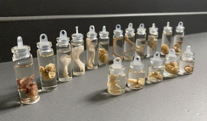 Mini sterk water flesjes, Verzamelen, Dierenverzamelingen, Ophalen of Verzenden