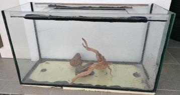 Aquarium / terrarium  beschikbaar voor biedingen