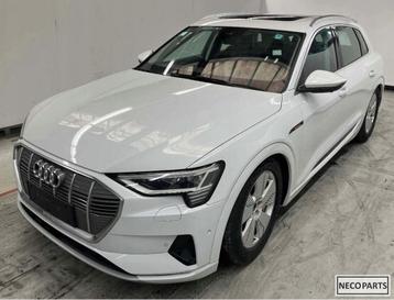 AUDI E TRON ETRON PORTIER DEUR KLEUR LS9R ALLES LEVERBAAR !! beschikbaar voor biedingen