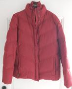 Jas Esprit maat XL, Esprit, Ophalen of Verzenden, Zo goed als nieuw, Maat 42/44 (L)