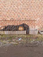 Antiek vol ijzeren hekwerk, Tuin en Terras, Ophalen of Verzenden, IJzer