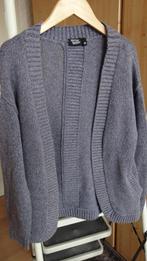 Cardigan voor meisjes Kleur: blauw/grijs Maat:140, Meisje, Trui of Vest, Ophalen of Verzenden, Zo goed als nieuw