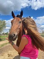 Super brave 3 jarige merrie zadelmak, Dieren en Toebehoren, Paarden, Merrie, Springpaard, Zadelmak, Gechipt