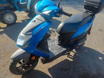 Sym 50ccm, Comme neuf, Classe B (45 km/h), Enlèvement, Essence