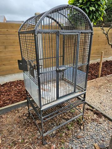Grote vogelkooi voor papegaai beschikbaar voor biedingen