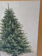 kerstboom, Enlèvement, Autres espèces, 150 à 200 cm