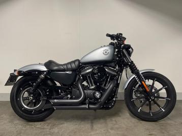 Harley-Davidson SPORTSTER XL883N IRON (bj 2020), Motoren, Motoren | Harley-Davidson, 883 cc, Meer dan 35 kW, Overig