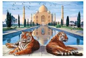 Diamond Painting - Ronde Steentjes - Taj Mahal - 40 x 30 Cm beschikbaar voor biedingen