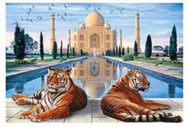 Diamond Painting - Ronde Steentjes - Taj Mahal - 40 x 30 Cm, Hobby en Vrije tijd, Knutselen, Nieuw, Knutselwerk, Ophalen of Verzenden