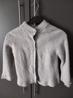 Damesvest, Kleding | Dames, Maat 38/40 (M), Marie Méro, Ophalen of Verzenden, Grijs