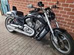 Koop/ruilen Harley Davidson vrscf muscle v-rod 1250 abs, Motoren, Motoren | Harley-Davidson, 2 cilinders, Chopper, Bedrijf, Meer dan 35 kW