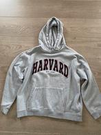 Grijze hoodie M, Ophalen, Zo goed als nieuw