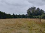 Weide te huur, Dieren en Toebehoren, Stalling