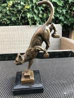 bronzen poezen beeld kat, Ophalen of Verzenden