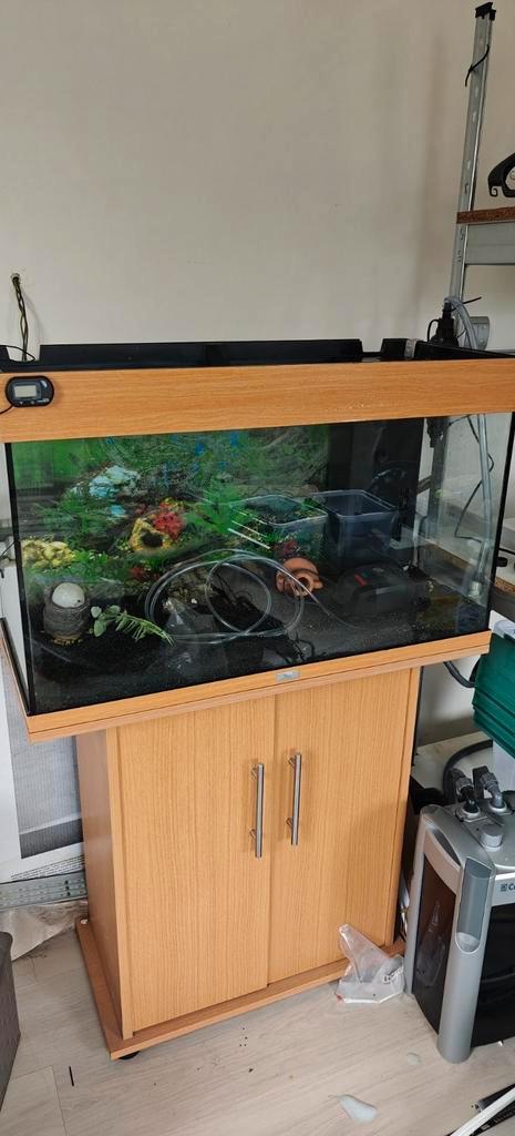 Aquarium complet juwel 125, Animaux & Accessoires, Poissons | Aquariums & Accessoires, Comme neuf, Enlèvement