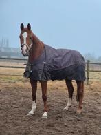 Lieve 7 jarige ruin ( weidemaatje/coachpaar ), Dieren en Toebehoren, Ruin, Niet van toepassing, 170 tot 175 cm, 7 tot 10 jaar