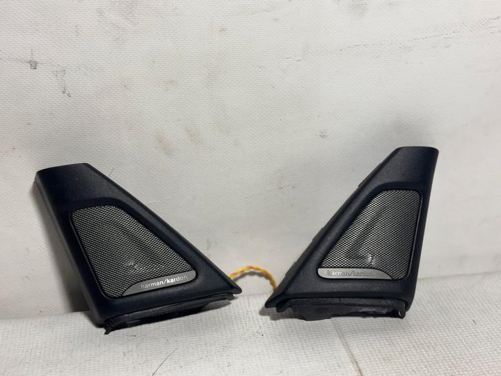 Haut-parleur de porte avant BMW 5 F10 F11 7349009 7349010, Autos : Pièces & Accessoires, Habitacle & Garnissage, BMW, Enlèvement