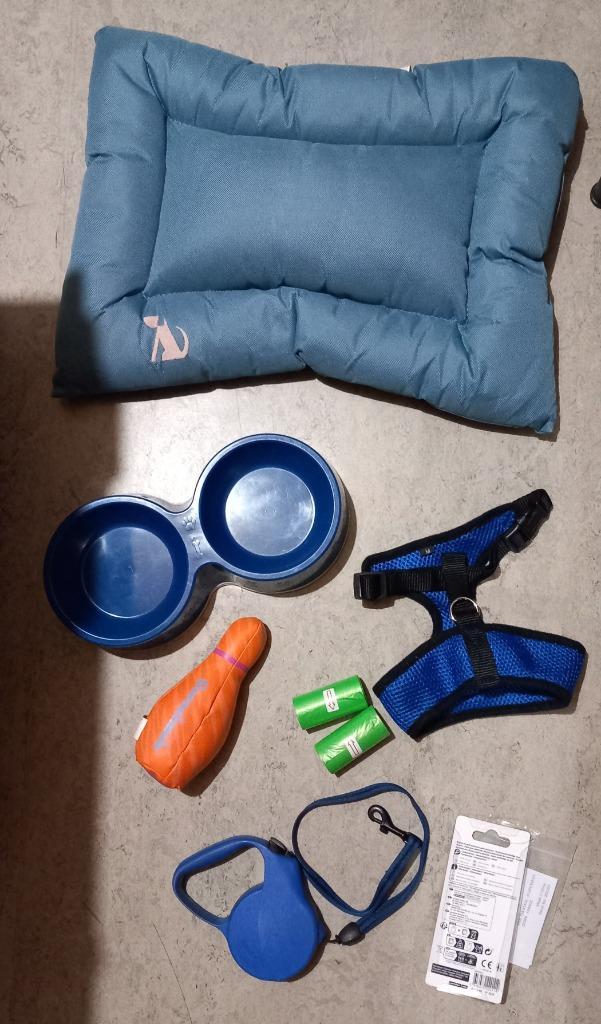 Set artikelen voor kleine honden of puppy's, Dieren en Toebehoren, Honden-accessoires, Zo goed als nieuw, Ophalen