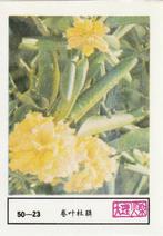 lucifermerk luciferetiket #212 bloemen (50-23), Boîtes ou marques d'allumettes, Envoi, Neuf