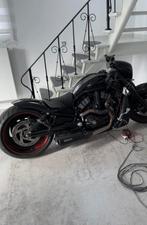 Harley Davidson nicht rod 1200cc 17xxx km, Motoren, Particulier