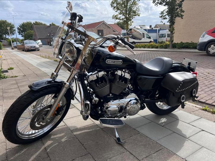 Harley davidson XL1200 Low cruiser touring, Motoren, Motoren | Harley-Davidson, Particulier, Ophalen
