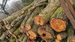 Gratis hout, Ophalen