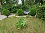 Mooie stacaravan in Molecaten park bosbad Hoeven Hoeven, Caravans en Kamperen, Tot en met 4