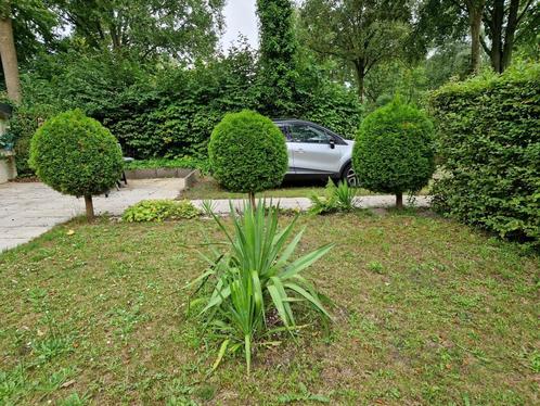 Mooie stacaravan in Molecaten park bosbad Hoeven Hoeven, Caravans en Kamperen, Stacaravans, tot en met 4, Ophalen of Verzenden