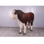 Hereford Bull beeld – Stier Lengte 251 cm, Nieuw, Ophalen of Verzenden