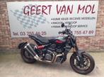 Indian FTR 1200, 2021, 177 km, 2 cilinders, Bedrijf, Meer dan 35 kW, 1200 cc