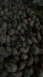 Voederbieten rialto, Zakelijke goederen, Ophalen, Veehouderij