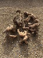 Driftwood of decoratie hout interieur, Dieren en Toebehoren, Ophalen, Gebruikt, Plant(en), Steen of Hout