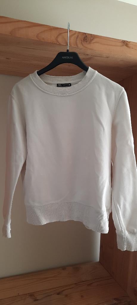 Mooie sweater Zara maat medium, Maat 38/40 (M), Ophalen of Verzenden, Zo goed als nieuw, Zara