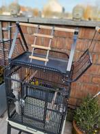 Cage de perroquet + perchoir, Animaux & Accessoires, Oiseaux | Cages & Volières, Enlèvement