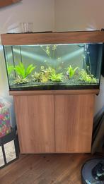 Aquarium 125L, Dieren en Toebehoren, Ophalen
