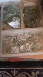 3 BACS DE GRANDES PAMPILLES CRISTAL., Enlèvement