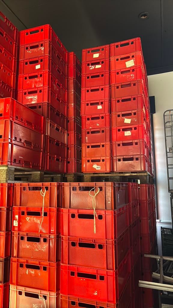 Rode bakken– ideaal voor horeca / magazijn / landbouw, Ophalen, Zo goed als nieuw