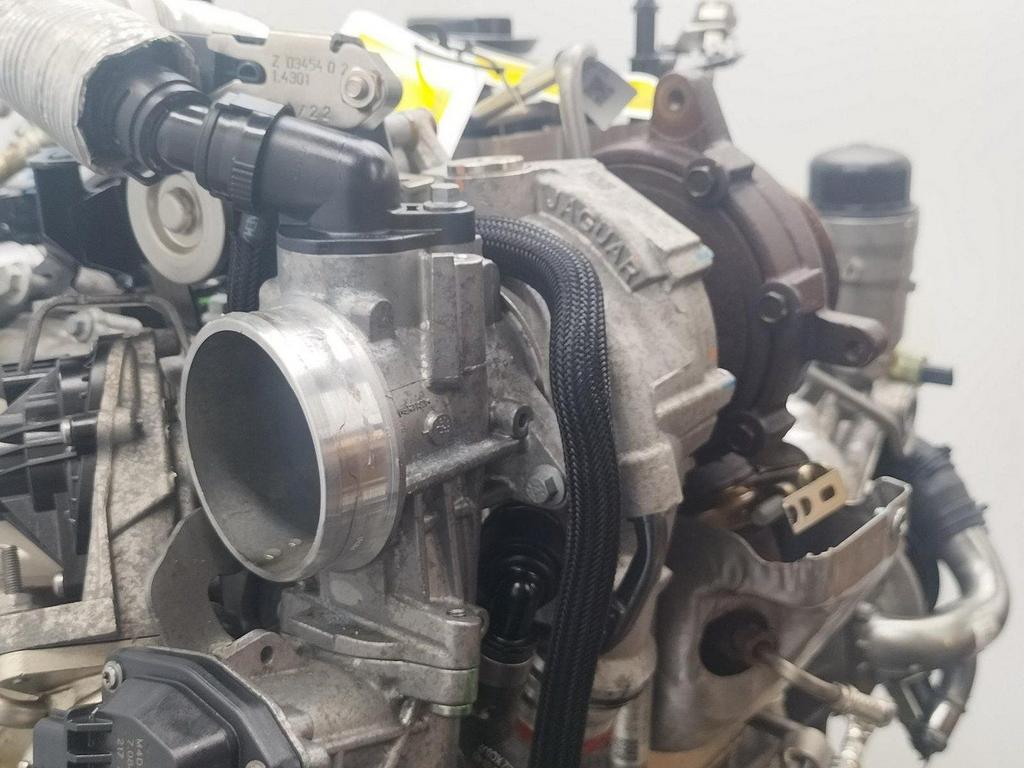 LANDROVER RANGE ROVER EVOQUE L551 R Dynamic SE TURBO 2022, Enlèvement ou Envoi, Utilisé, Stiba membre