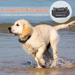 Collier Pour Chien de formation Étanche Rechargeable, Enlèvement ou Envoi, Neuf