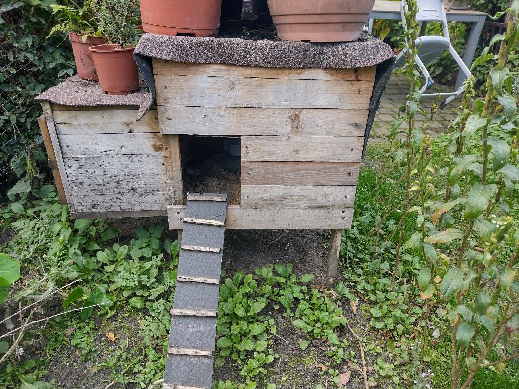 kippenhok, Dieren en Toebehoren, Ophalen, Gebruikt