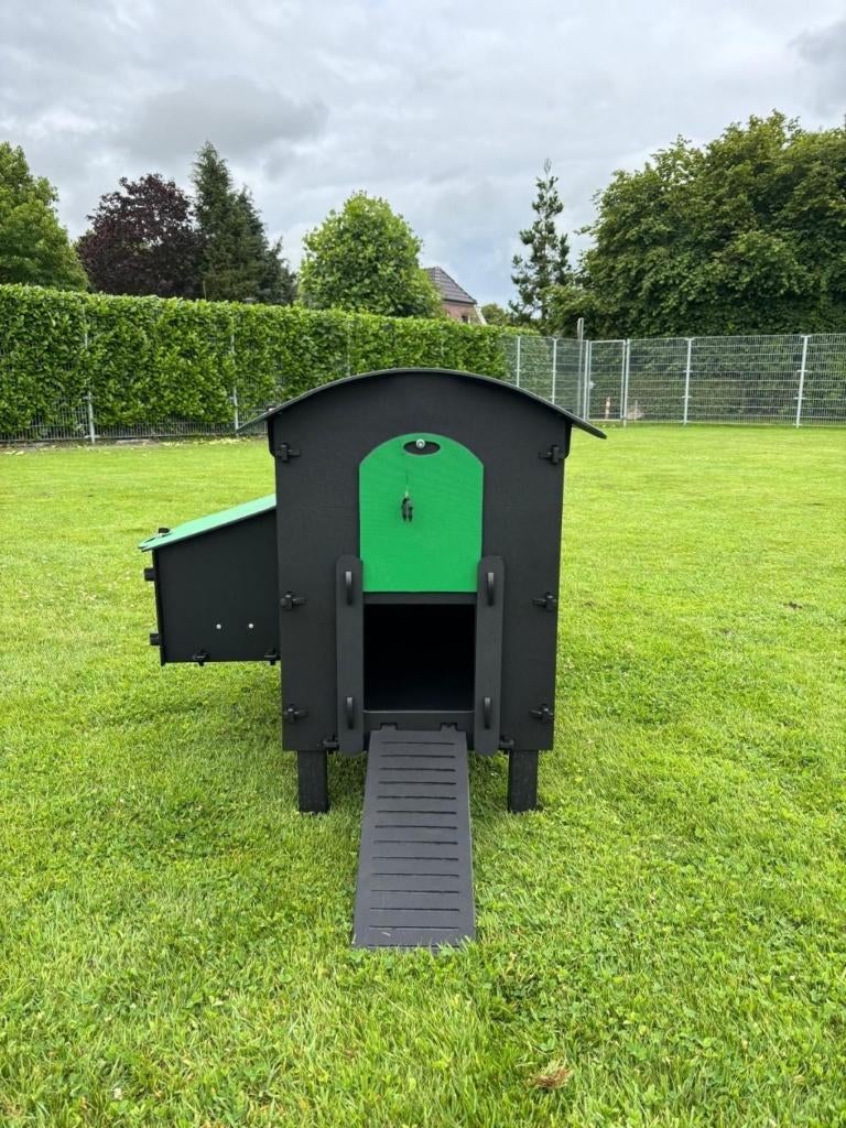 Pluverdi kippenhok Amsterdam (3-6 kippen), Dieren en Toebehoren, Ophalen of Verzenden, Nieuw, Kippenhok of Kippenren