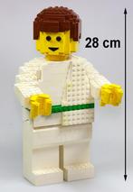 LEGO groot uniek beeld-bouwwerk gegraveerd met 'JENS' op rug, Ophalen of Verzenden, Gebruikt, Lego