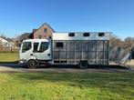Renault Midlum Camion Hippomobile, Achat, Entreprise, Autres carburants, Renault